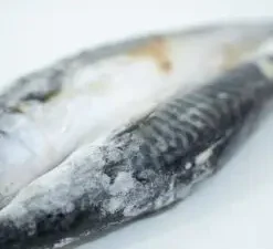 Fish - Titus (1kg)