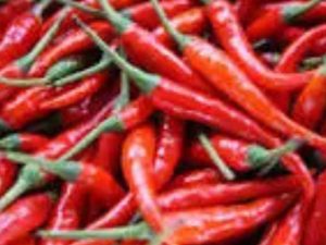 Red Shombo ( Cayenne pepper) -Grade A