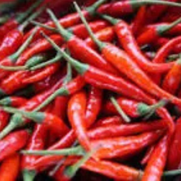 Red Shombo ( Cayenne pepper) -Grade A