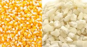 Corn ( White/Yellow)