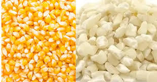 Corn ( White/Yellow)