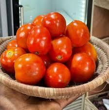 Tomatoes - Grade A
