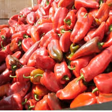 Tatashe Pepper - Grade A