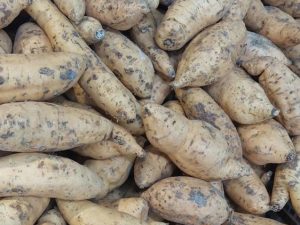 Sweet Potatoes