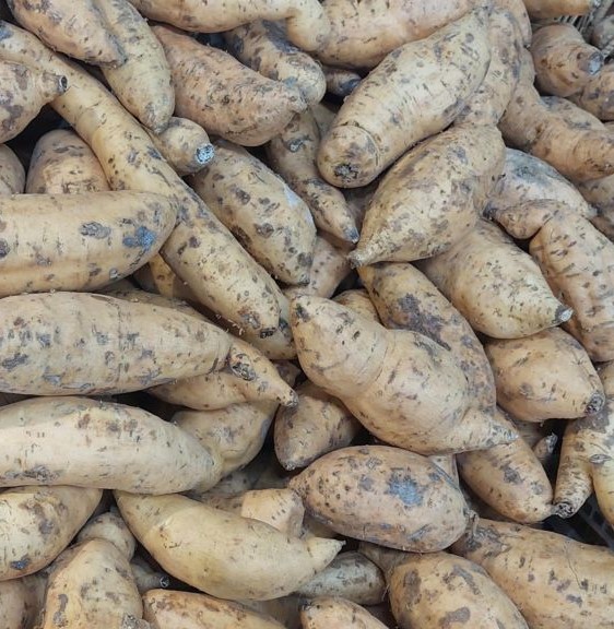 Sweet Potatoes