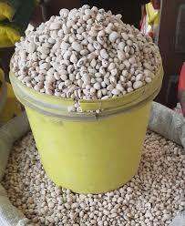 Beans - White
