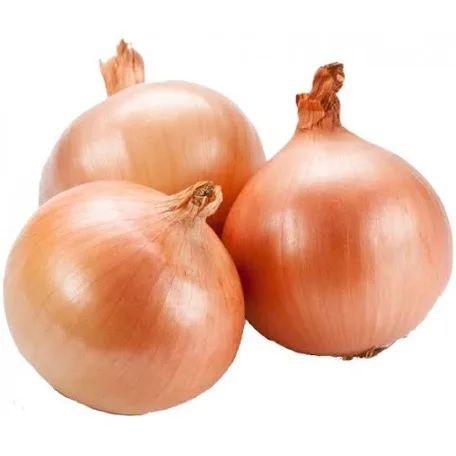 Onions - Light purple/Dry