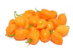 Cameroon Pepper - Fresh