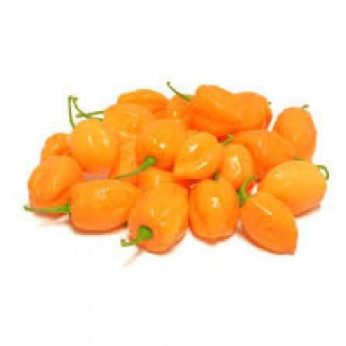 Cameroon Pepper - Fresh