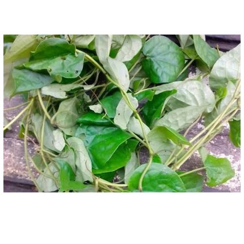 Uziza leaves (per bunch)