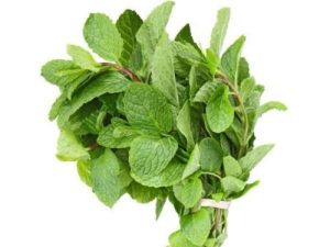 Scent leaf(per bunch)