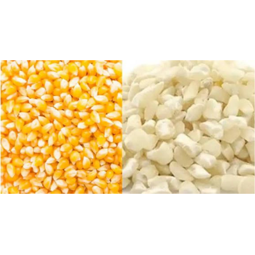 Corn ( White/Yellow)