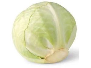 Cabbage (Jos)