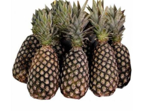 Pineapple - Cotonou