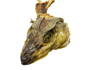 Stockfish (Head)