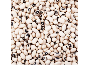 Beans - White