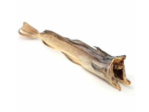 Stockfish (Body)