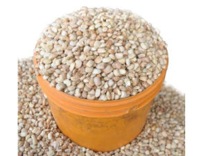 Beans - Oloyin/ Honey Beans(Cleaned)