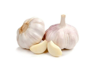 Garlic