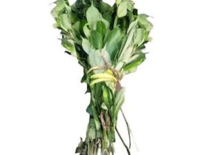 Editan leaves (per bunch)