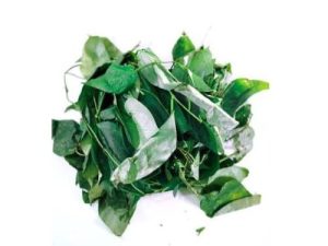 Utazi leaves (per bunch)