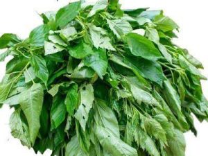 Ewedu/ Jute leaves (per bunch)
