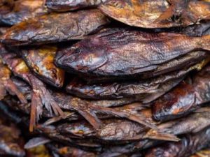 Bonga Fish/ Agbodo (fillet)