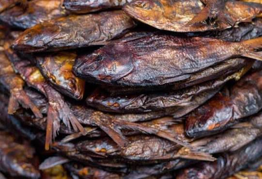 Bonga Fish/ Agbodo (fillet)