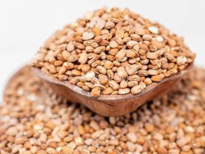 Beans - Olotu/Drum (Cleaned)